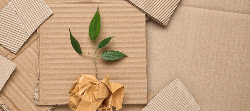 ​Le scatole in cartone riciclato di Econviene rispettano l'ambiente