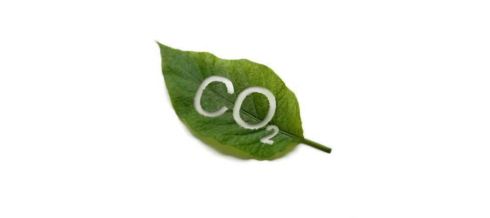 Compensazione della CO₂: cos’è, perché è utile e come funzionano i crediti di carbonio