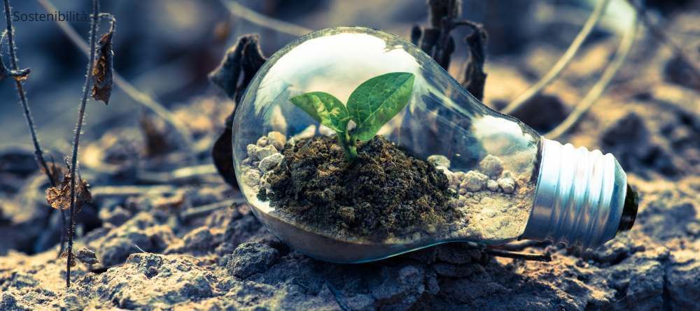 5 idee sostenibili sorprendenti dal mondo che dimostrano che sprecare meno è possibile