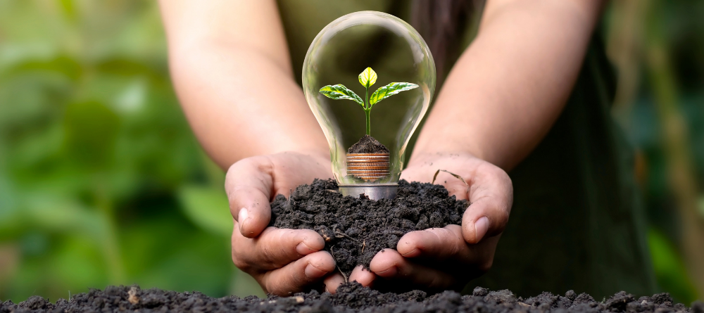 Giornata internazionale del risparmio energetico