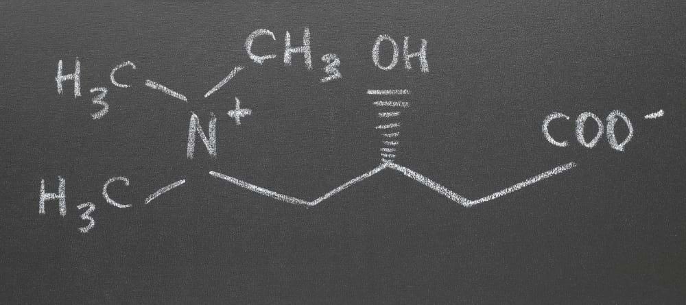 Perché la carnitina è così importante