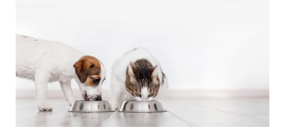 La Scadenza del Cibo per Animali: consigli pratici per Cani e Gatti