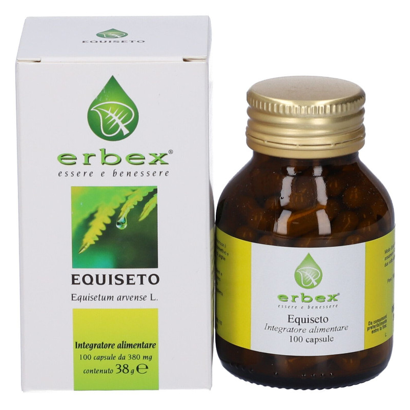 EQUISETO 100 CAPSULE 380 MG