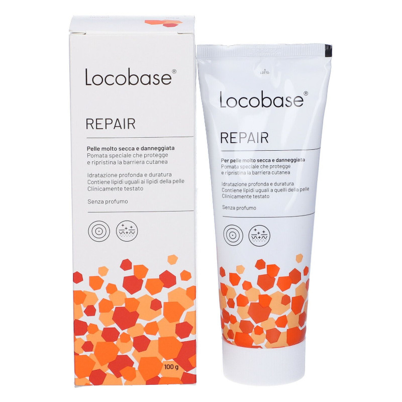 LOCOBASE REPAIR 100 G