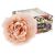 MAMI FIORE ROSE IN FIORE PICCOLO