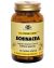 ECHINACEA 100 CAPSULE VEGETALI