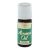 OLIO AROMATICO VATA 10 ML