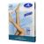 SAUBER COLLANT 140 DENARI MICRORETE NEUTRO BEIGE 2 CLASSICA