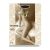 VENERE 140 COLLANT TUTTO NUDO CAMMELLO 4XL