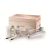 FILLERINA BIOREVITALIZING + PREFILLERINA GRADO 3 BIO