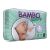 BAMBO NATURE NEWBORN 2-4KG 28PZ