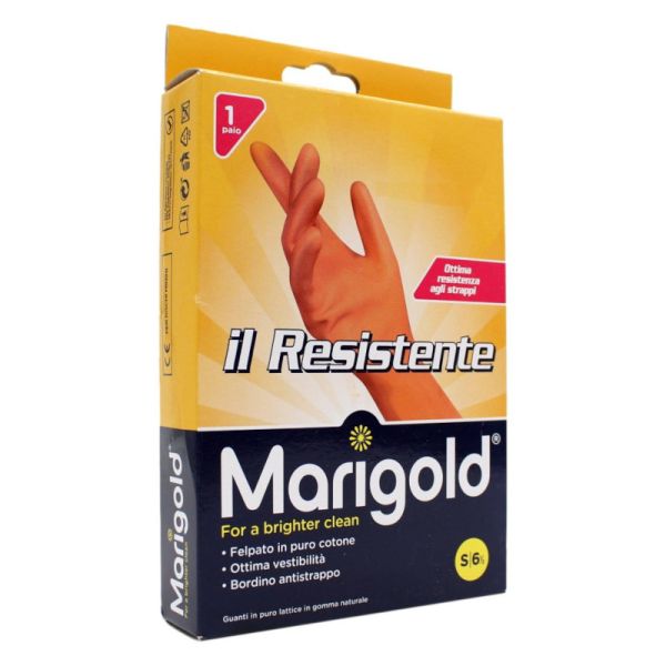 MARIGOLD IL RESISTENTE SMALL 1 PAIO