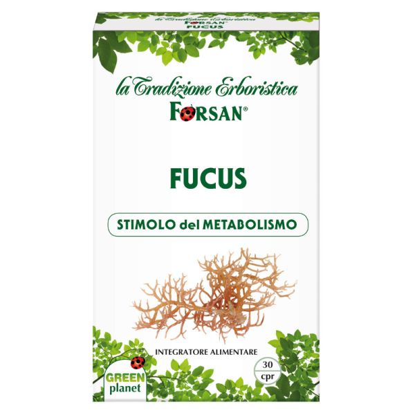 FUCUS