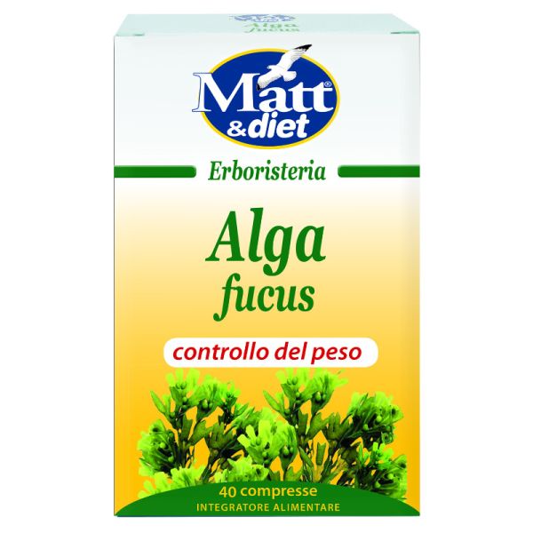 ALGA FUCUS