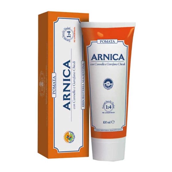 ARNICA FORTE POMATA 100 ML