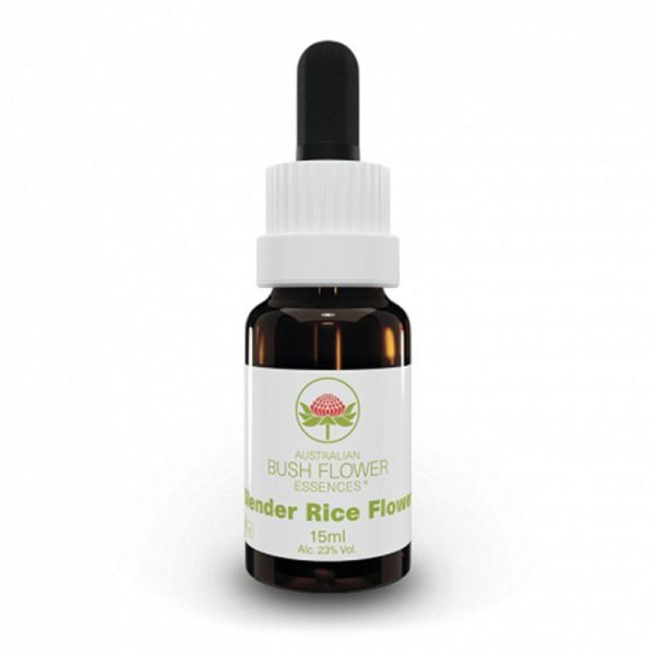 SLENDER RICE FLOWER 15 ML