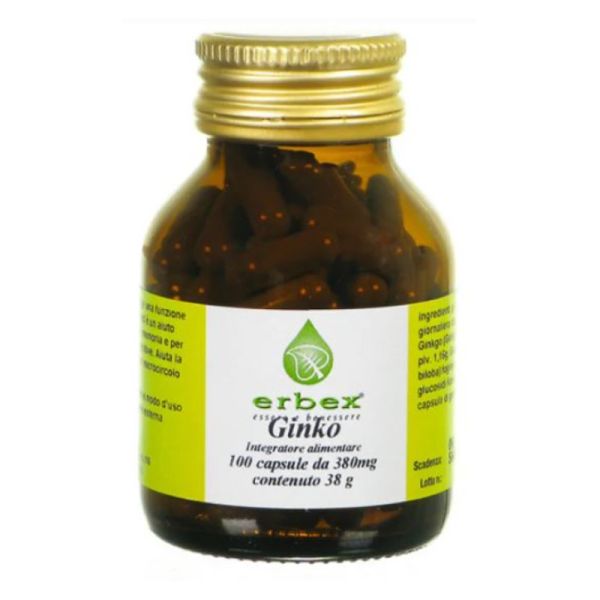 GINKGO BILOBA 100 CAPSULE 380 MG