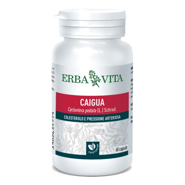 CAIGUA 60 COMPRESSE 400MG