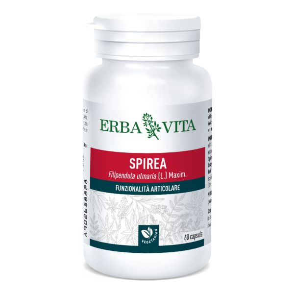 SPIREA ULMARIA 60 CAPSULE 400 MG