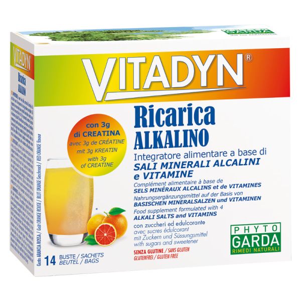 VITADYN RICARICA ALKALIN 14 BUSTINE