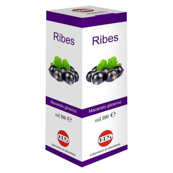 RIBES NIGRUM MG 100 ML GOCCE