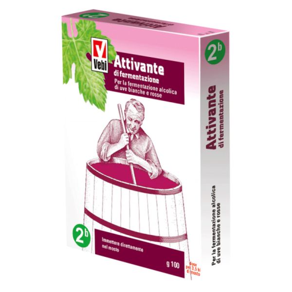 ATTIVANTE FERMENTAZIONE 100 G