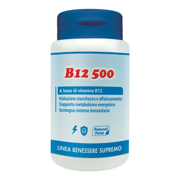 B12 500MCG NATURAL POINT