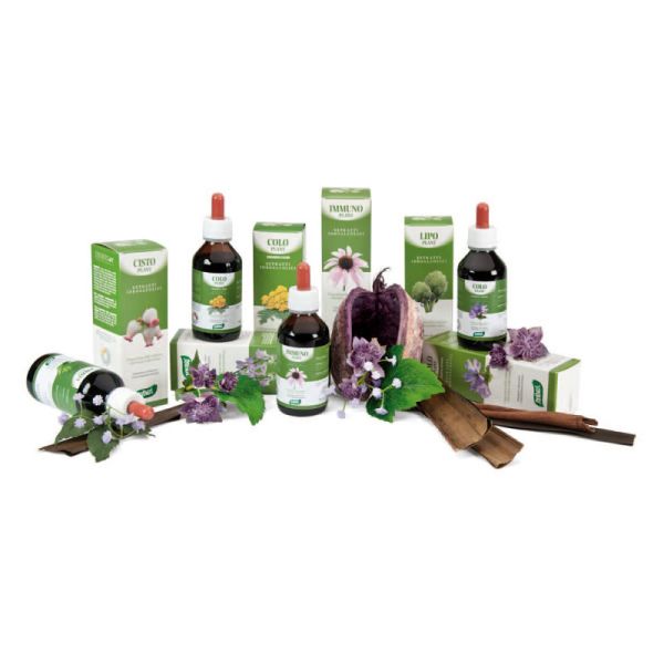 ZEFIRUS GASTRO PLANT 03 100 ML
