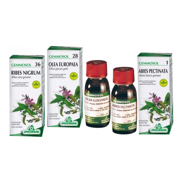 GEMMOSOL 36 GOCCE RIBES NERO 50ML