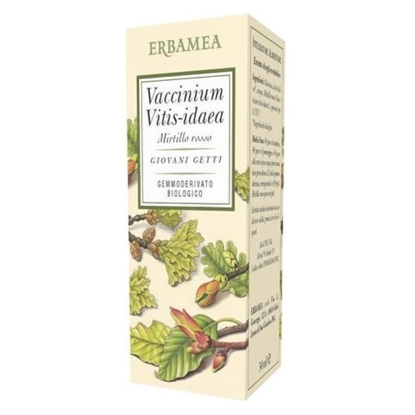 VACCINIUM VITIS IDAEA BIO 50ML