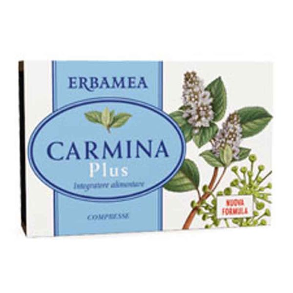 CARMINA PLUS 24 COMPRESSE 19,2 G