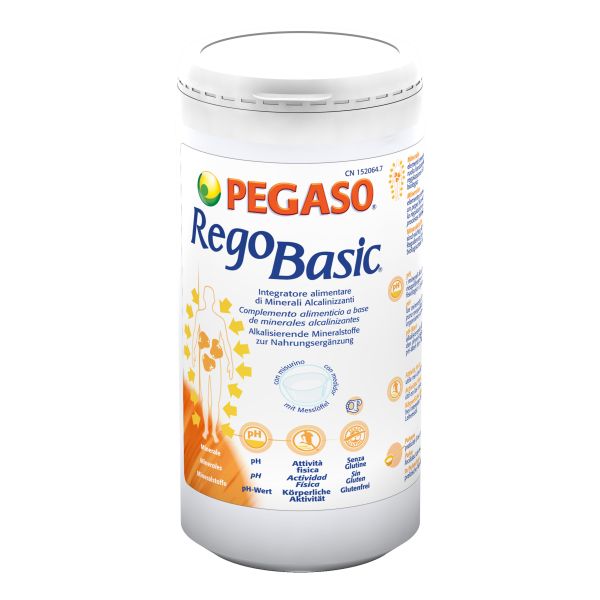 REGOBASIC POLVERE 250G