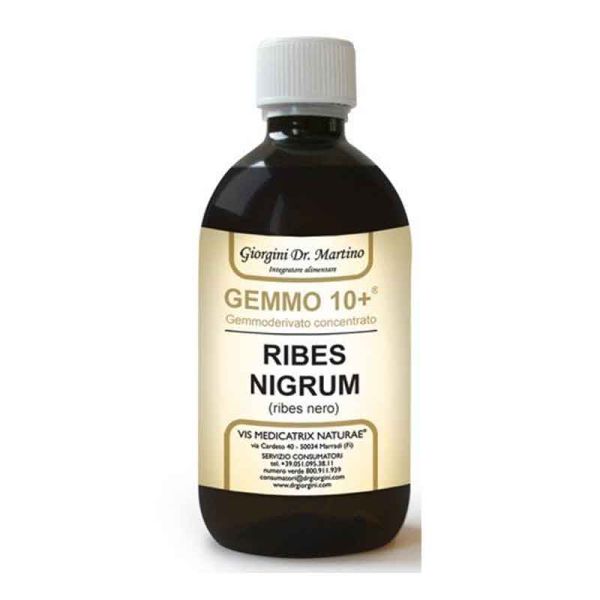 RIBES NERO  GEMMO10 500ML