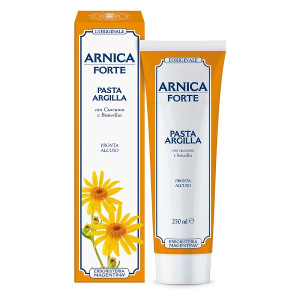 ARNICA FORTE PASTA ARGILLA 250 ML