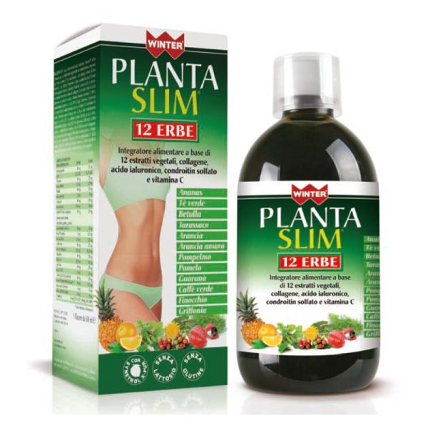 WINTER PLANTA SLIM 12 ERBE 500 ML