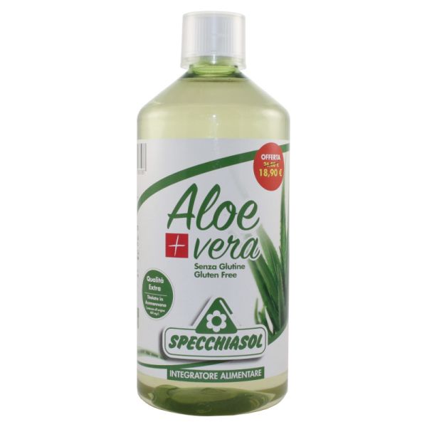 SUCCO ALOEVERA+ 1000ML