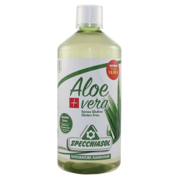 SUCCO ALOE VERA+ 1000 ML