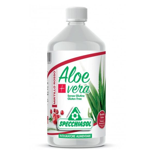 SUCCO ALOEVERA+ MIRTILLI ROSSI 1 LT