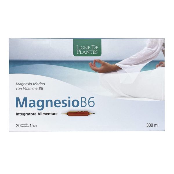 MAGNESIO B6 20 AMPOLLE BEVIBILI
