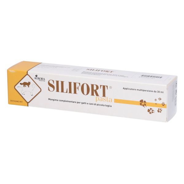 SILIFORT PASTA OS SIRINGA 15 G