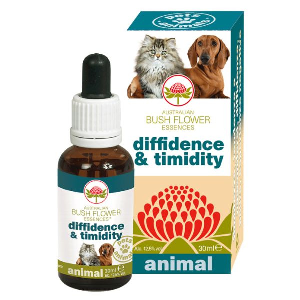DIFFIDENCE & TIMIDITY 30 ML