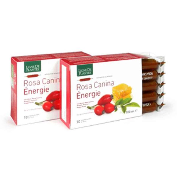 ROSA CANINA ENERGIE BIO 10AB