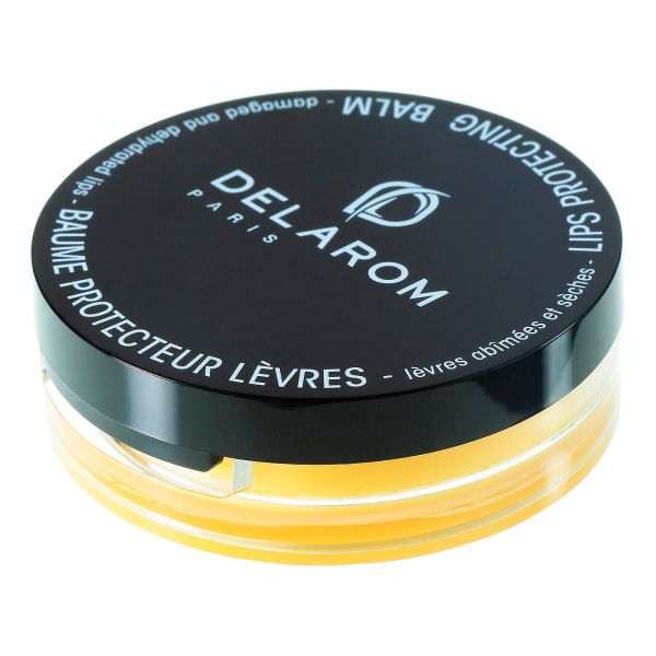 DELAROM BAUME PROTECTOR LEVRES 10 ML