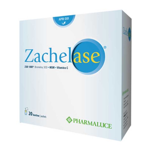 ZACHELASE 20BUST