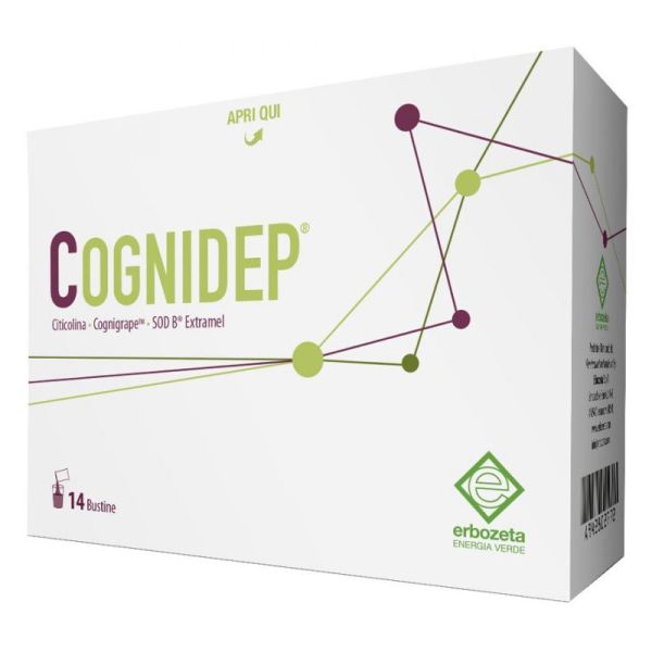 COGNIDEP 14 BUSTINE