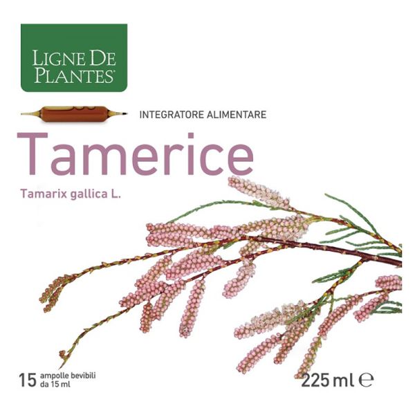 TAMERICE 15 AMPOLLE X 15 ML