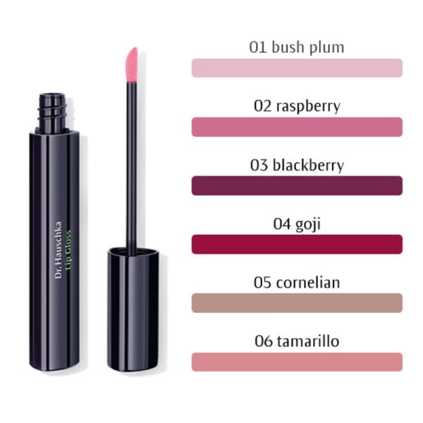 DR HAUSCHKA LIP GLOSS N. 01 BUSH PLUM