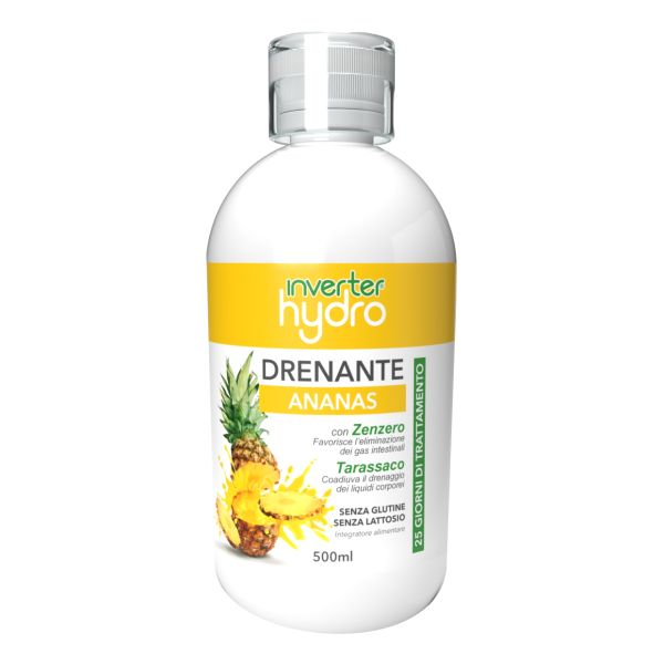 GIAVI' INVERTER HYDRO DRENANTE ANANAS 500ML