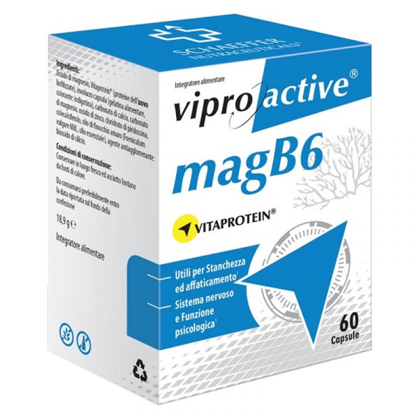 VIPROACTIVE MAGB6 60 CAPSULE