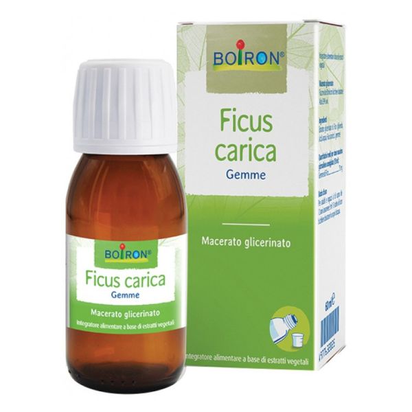 FICUS CARICA GEMME MACERATO GLICERINATO 60 ML INT